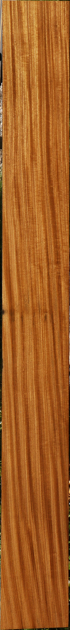 Figured Quartersawn Afrormosia Lumber