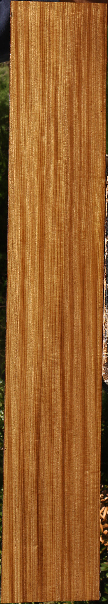 Figured Quartersawn Afrormosia Lumber