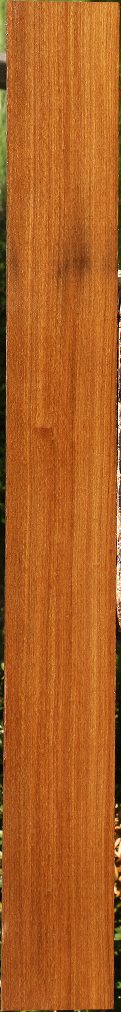 Afrormosia Lumber