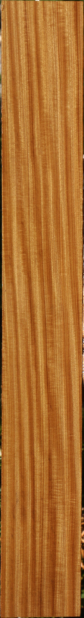 Figured Quartersawn Afrormosia Lumber