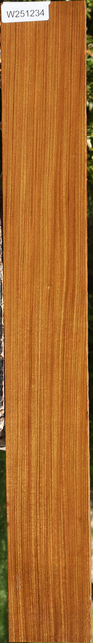Figured Quartersawn Afrormosia Lumber