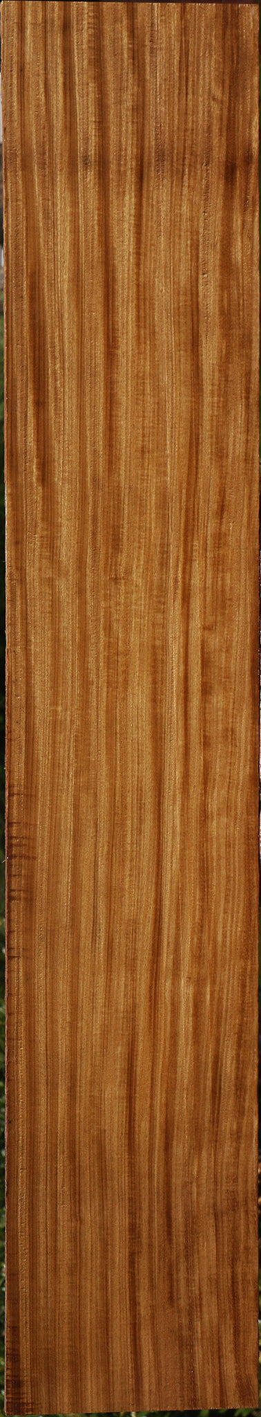 Figured Quartersawn Afrormosia Lumber