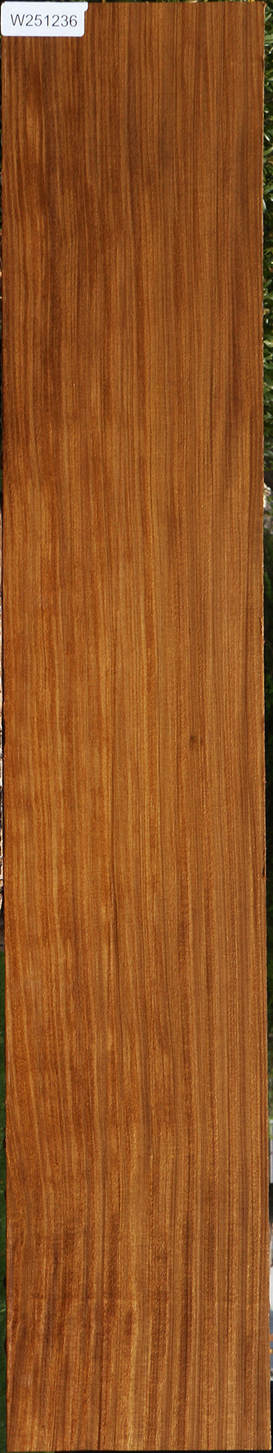 Figured Quartersawn Afrormosia Lumber