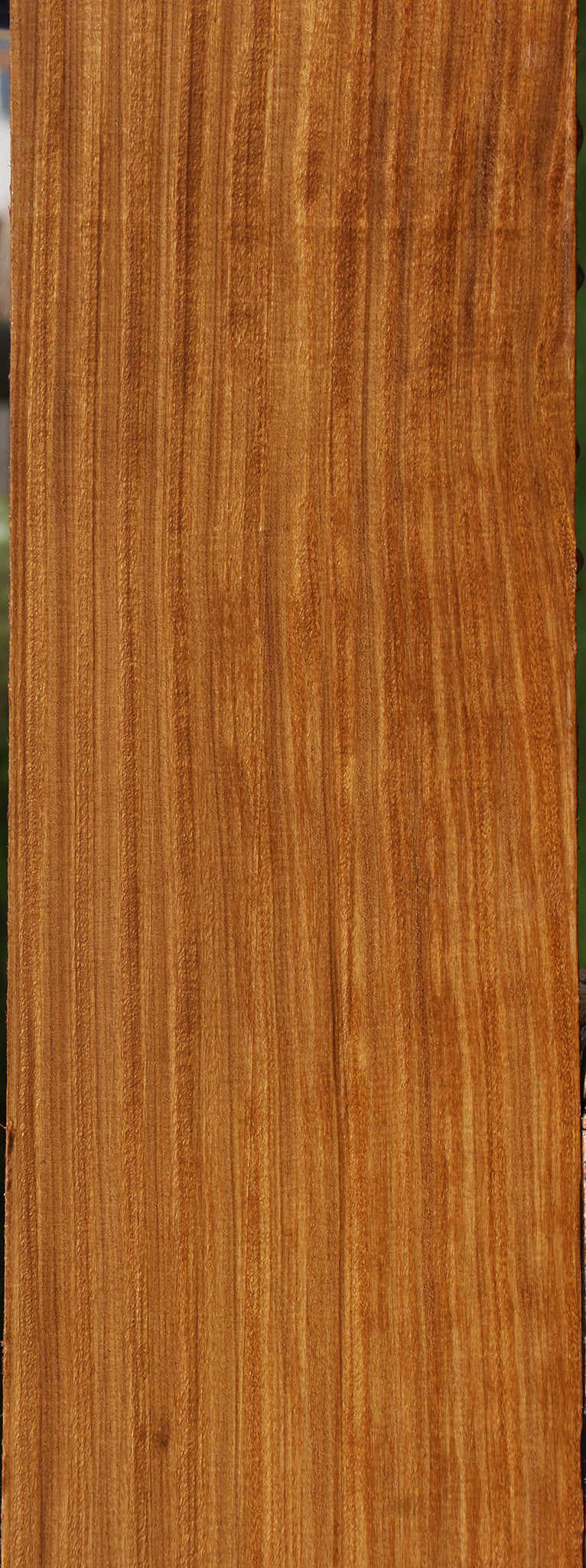 Figured Quartersawn Afrormosia Lumber