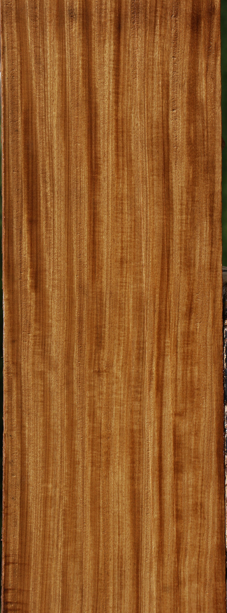 Figured Quartersawn Afrormosia Lumber