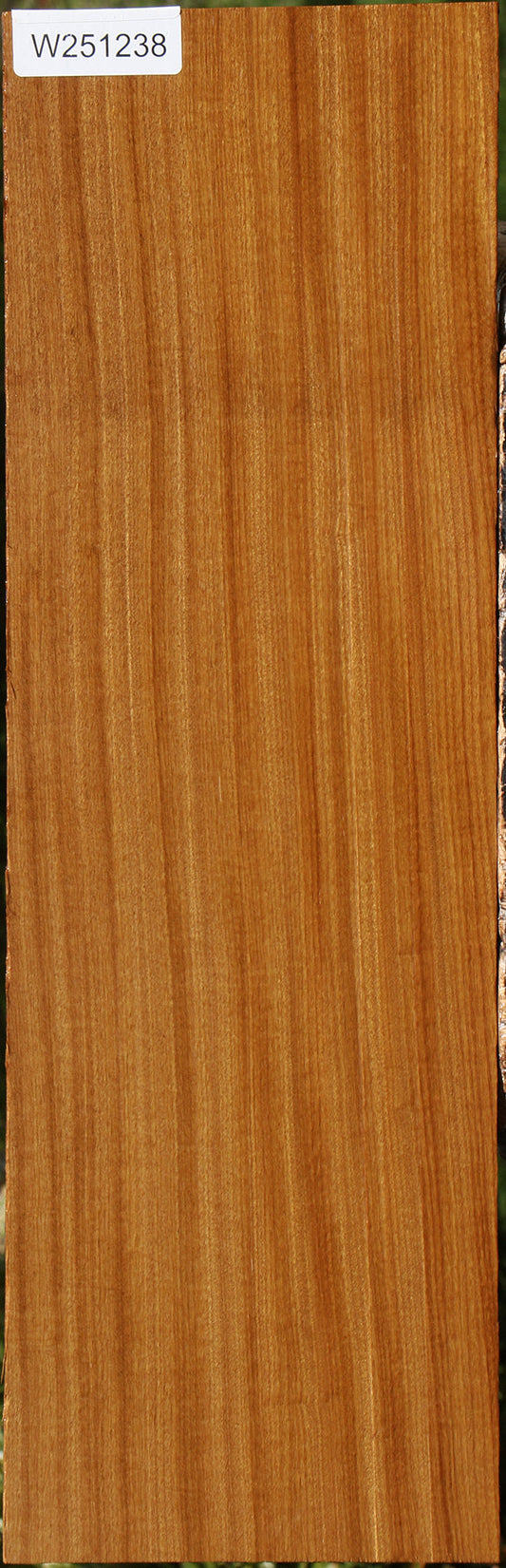 Afrormosia Lumber