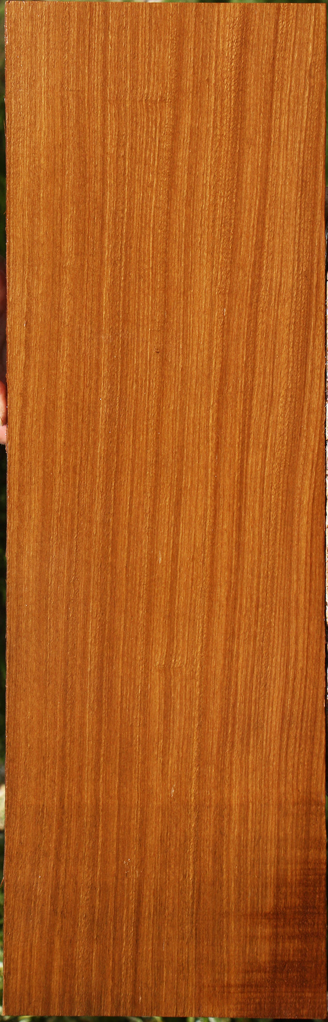 Afrormosia Lumber