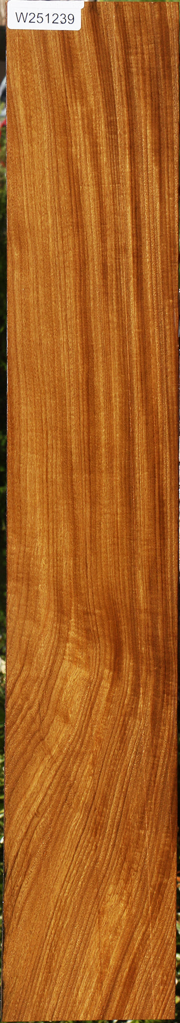 Figured Afrormosia Lumber