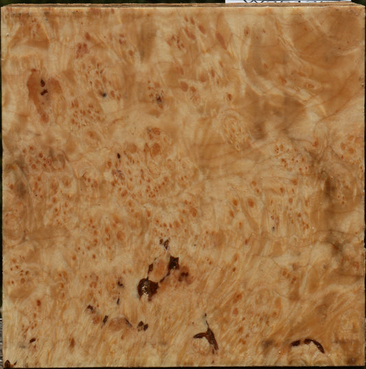 Maple Burl Bowl Blank