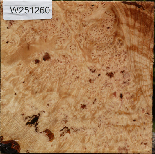 Maple Burl Bowl Blank