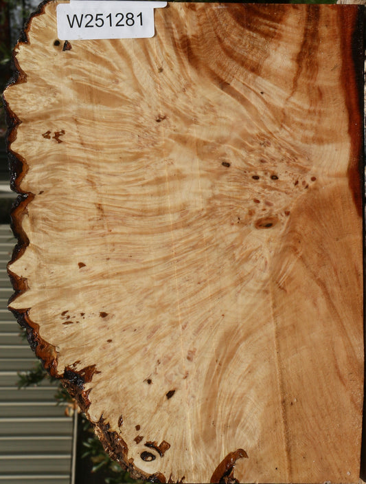Maple Burl Live Edge Bowl Blank