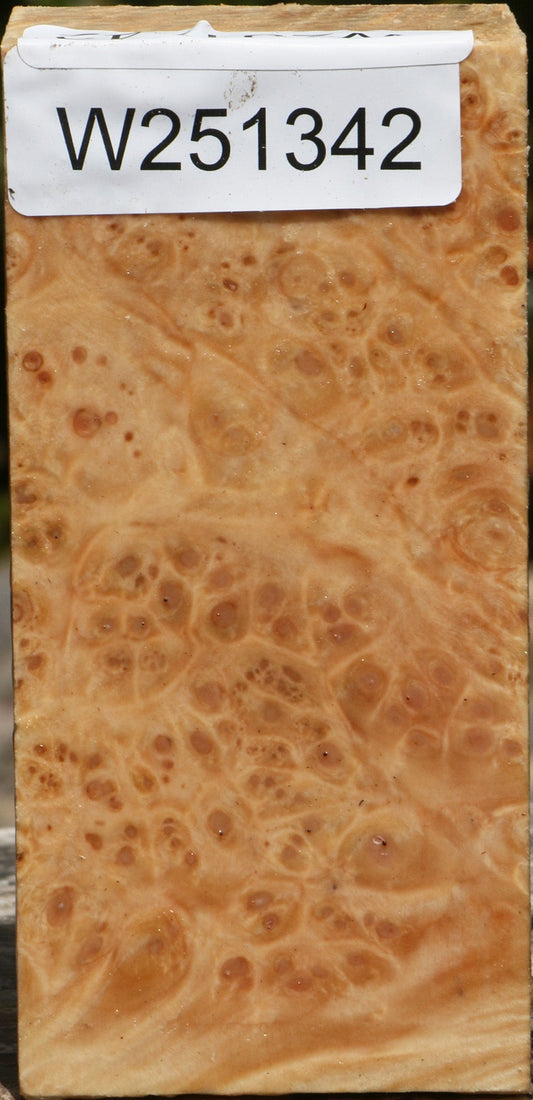 Maple Burl Turning Square