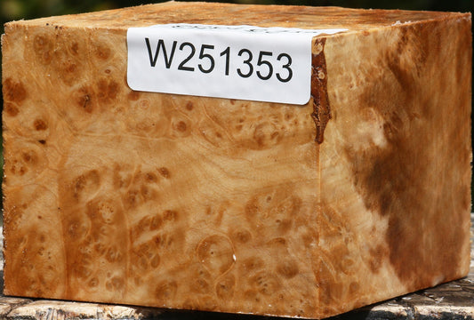 Maple Burl Bowl Blank