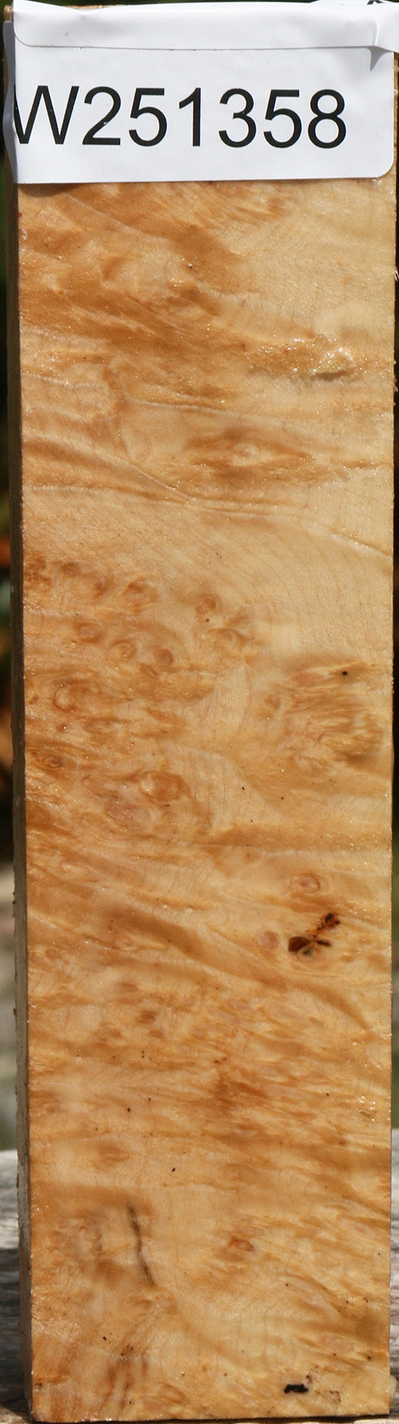 Maple Burl Turning Blank