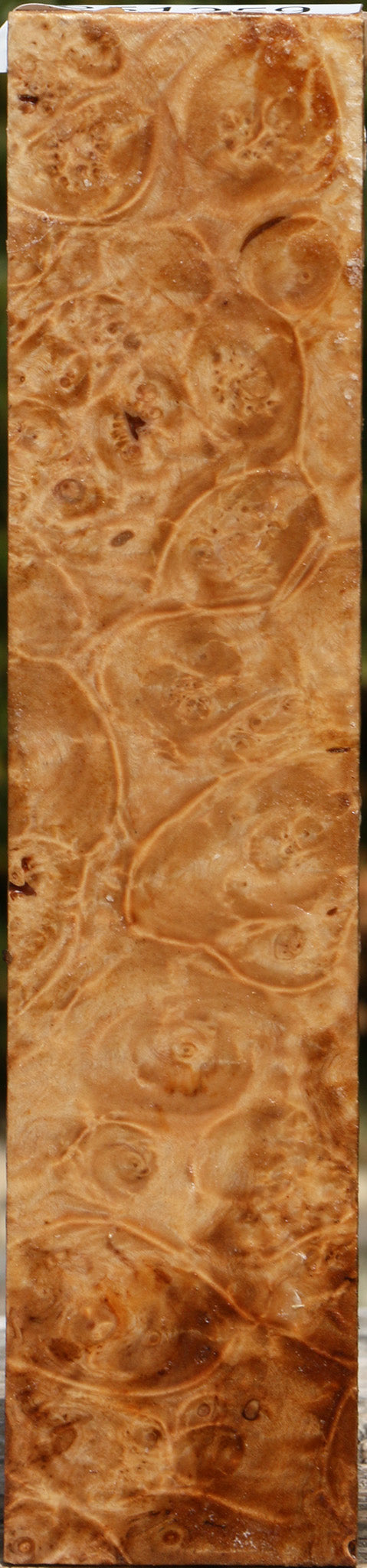 Maple Burl Turning Blank