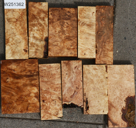 Maple Burl Turning Bargain Box