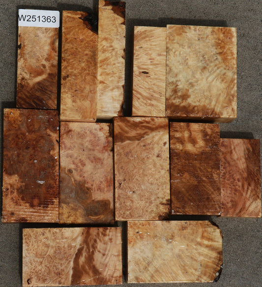 Maple Burl Turning Bargain Box