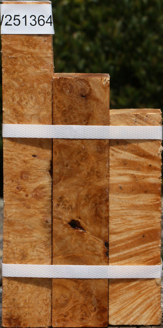 Maple Burl Turning Square 3 Pack