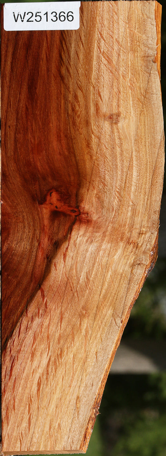 Figured Beefwood Live Edge Lumber