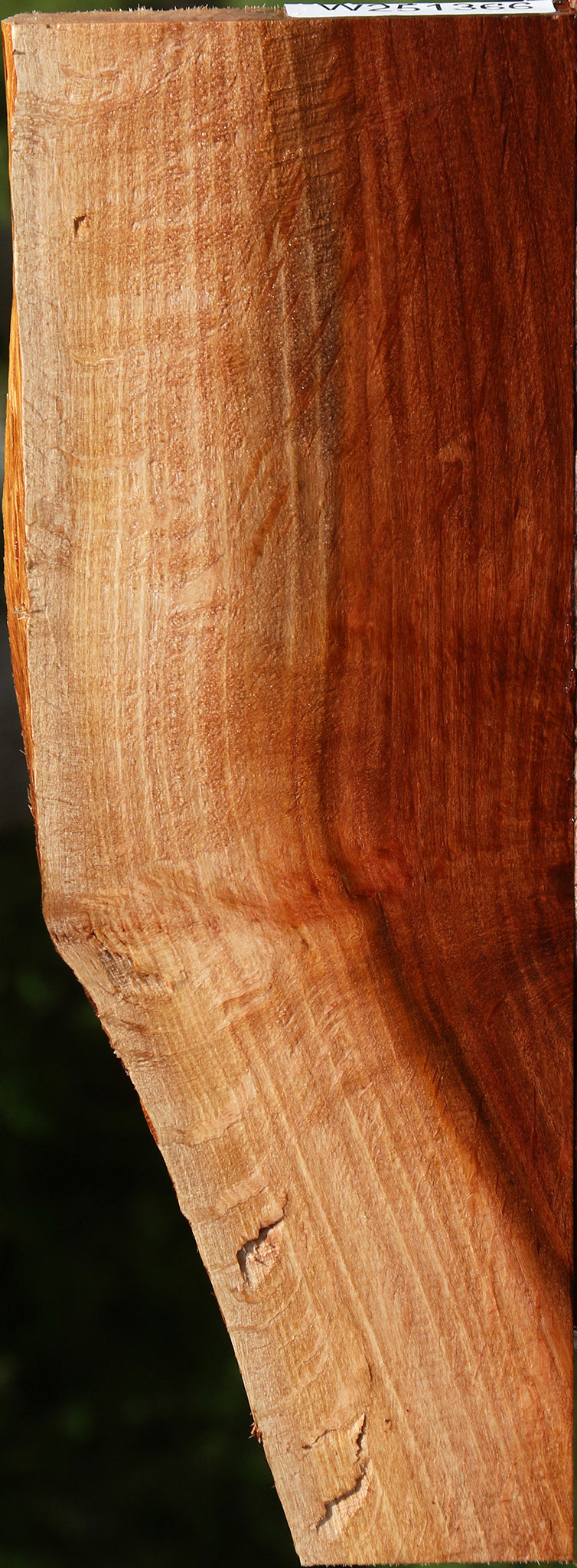 Figured Beefwood Live Edge Lumber