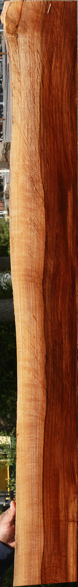 Extra Fancy Beefwood Live Edge Lumber