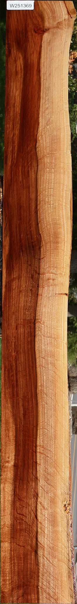 Extra Fancy Beefwood Live Edge Lumber