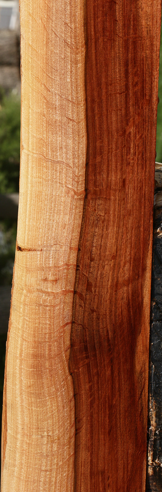 Extra Fancy Beefwood Live Edge Lumber