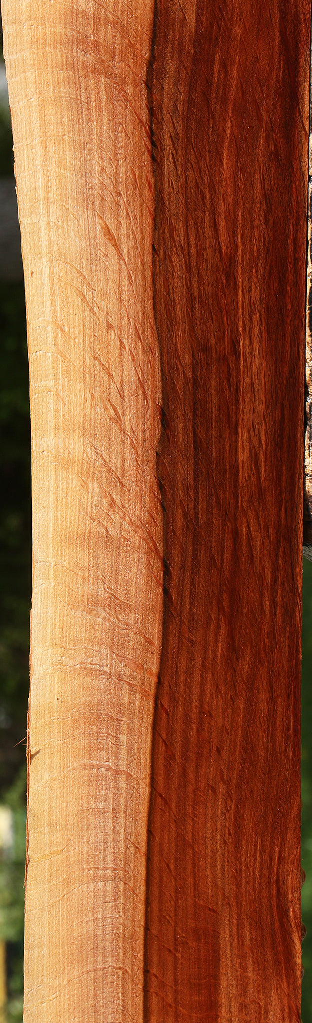 Extra Fancy Beefwood Live Edge Lumber