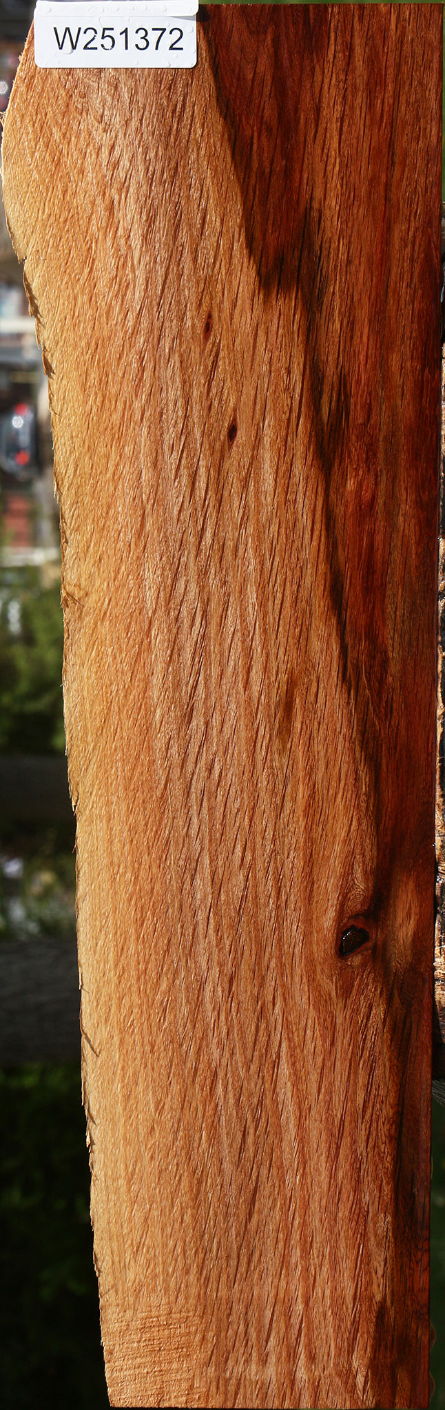Beefwood Live Edge Lumber