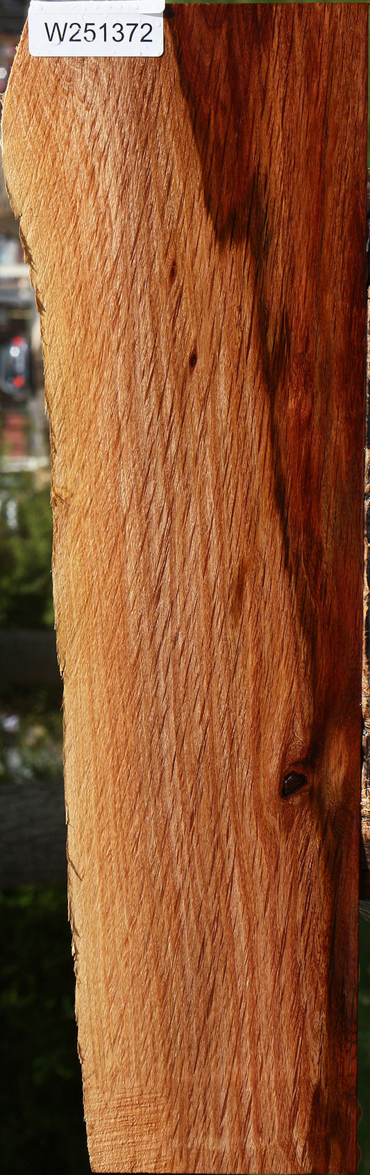 Beefwood Live Edge Lumber