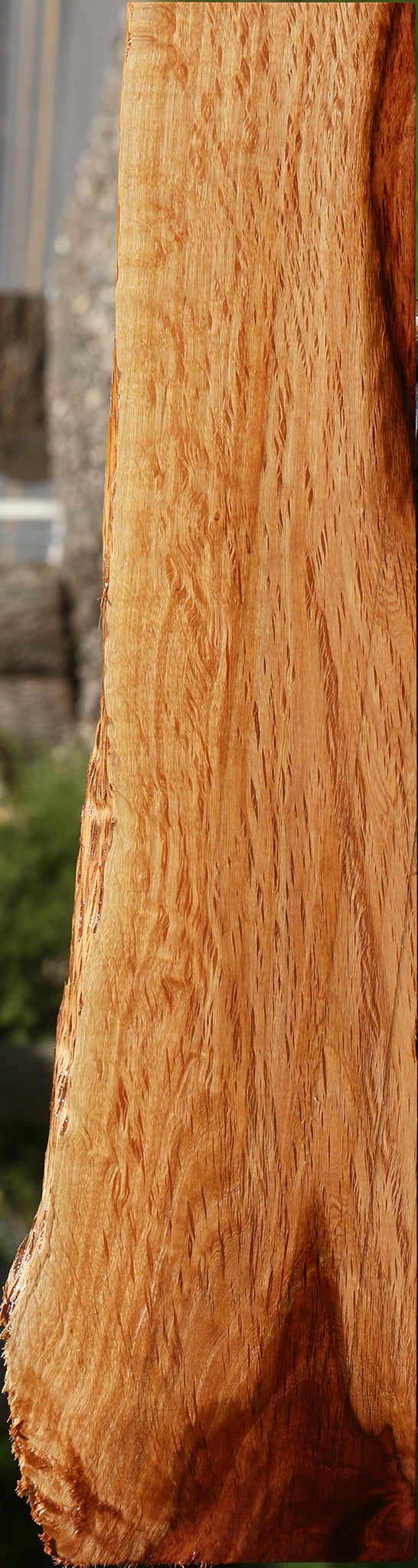 Beefwood Live Edge Lumber