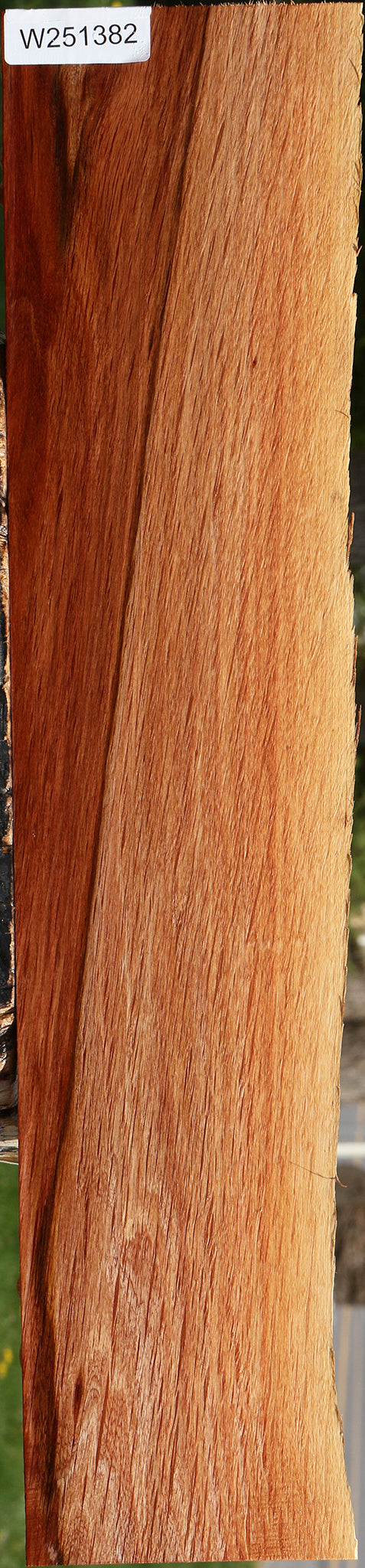 Beefwood Live Edge Lumber