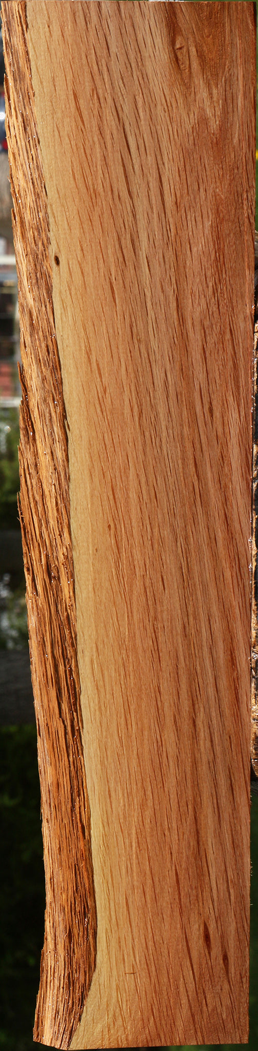 Beefwood Live Edge Lumber