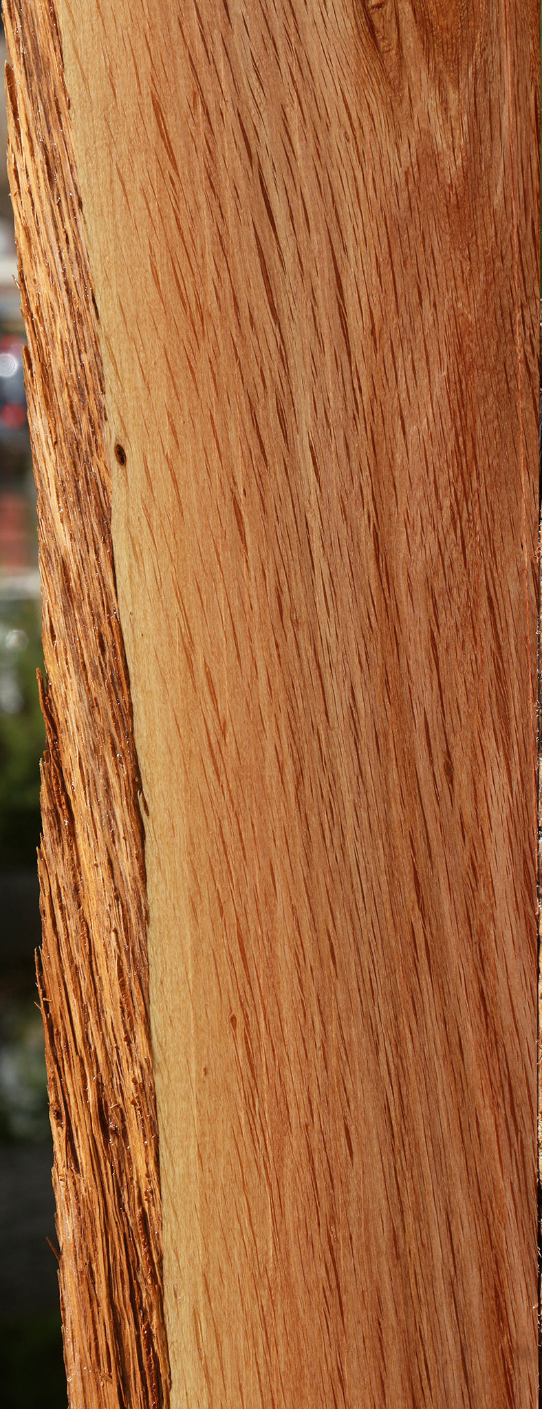 Beefwood Live Edge Lumber