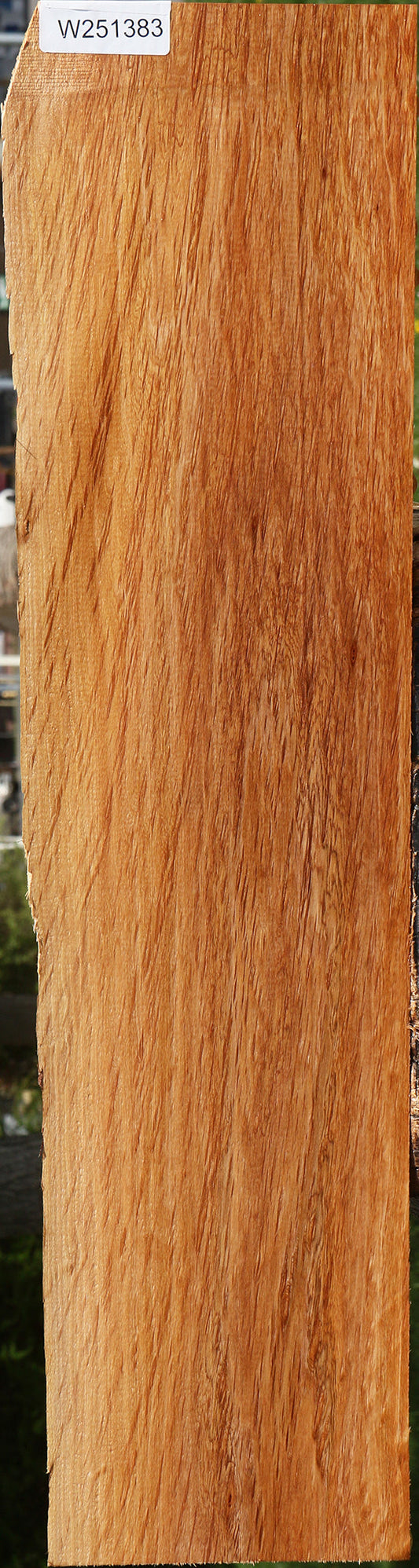 Figured Beefwood Live Edge Lumber
