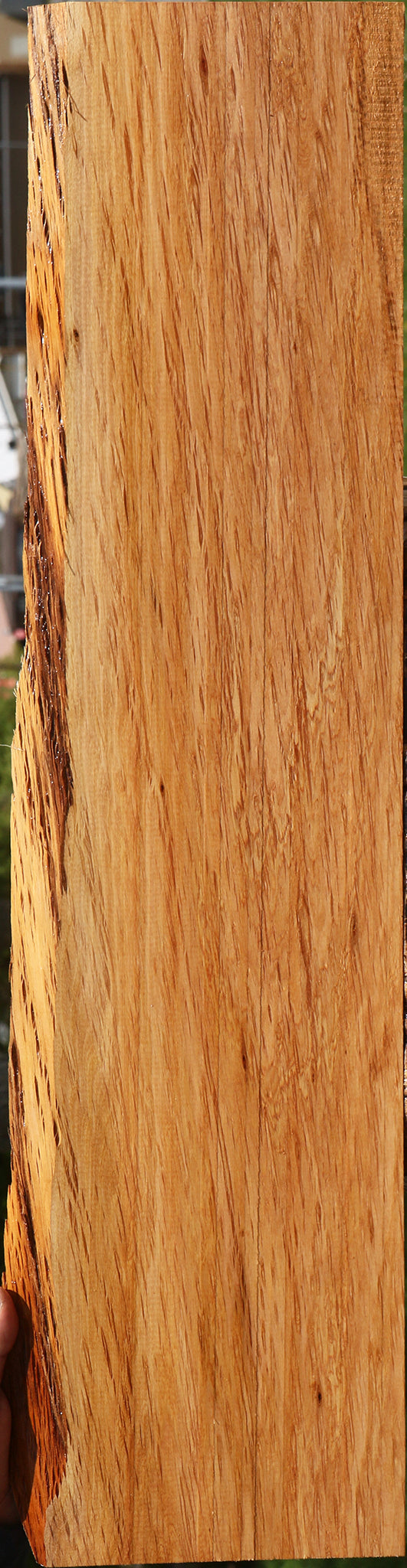 Figured Beefwood Live Edge Lumber