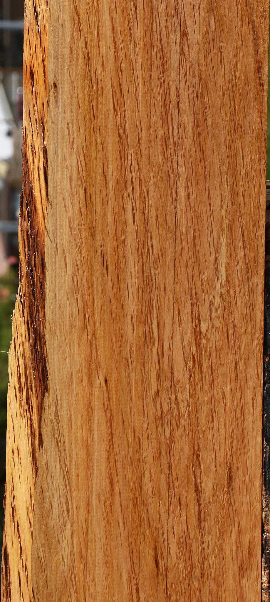 Figured Beefwood Live Edge Lumber