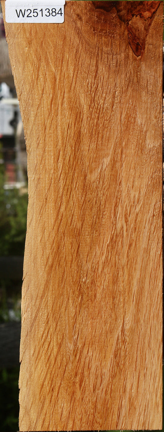 Beefwood Live Edge Lumber