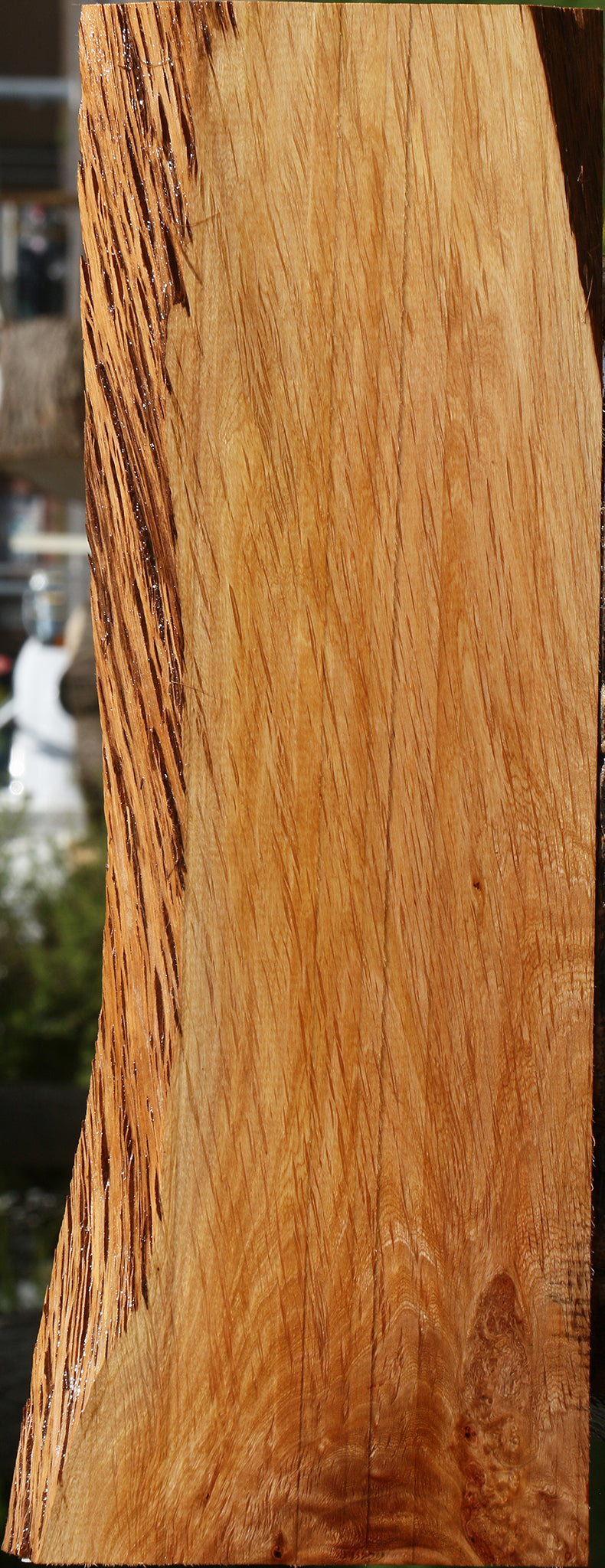 Beefwood Live Edge Lumber
