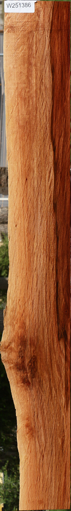 Beefwood Live Edge Lumber