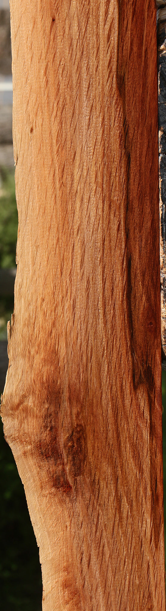 Beefwood Live Edge Lumber