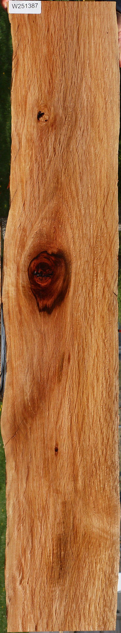 Beefwood Live Edge Lumber