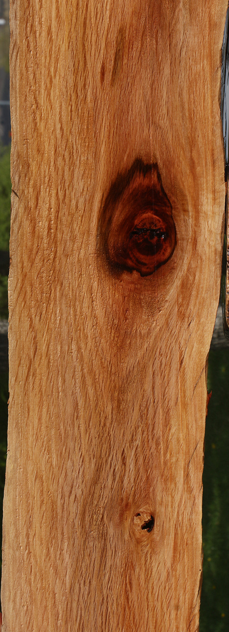 Beefwood Live Edge Lumber