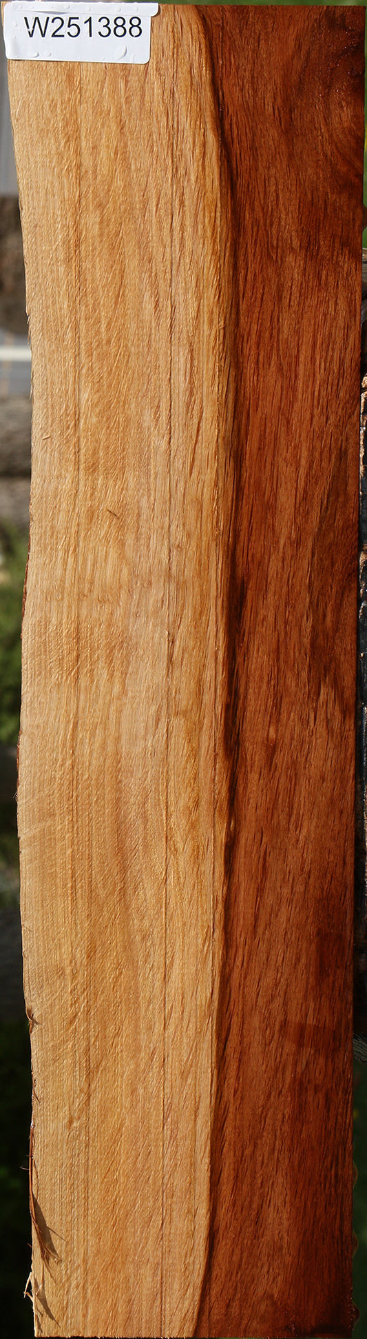 Beefwood Live Edge Lumber