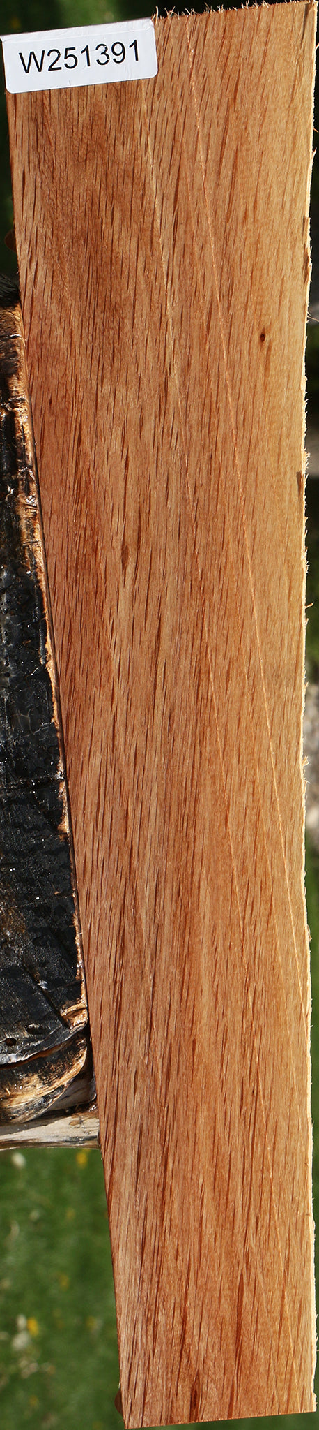 Beefwood Live Edge Lumber