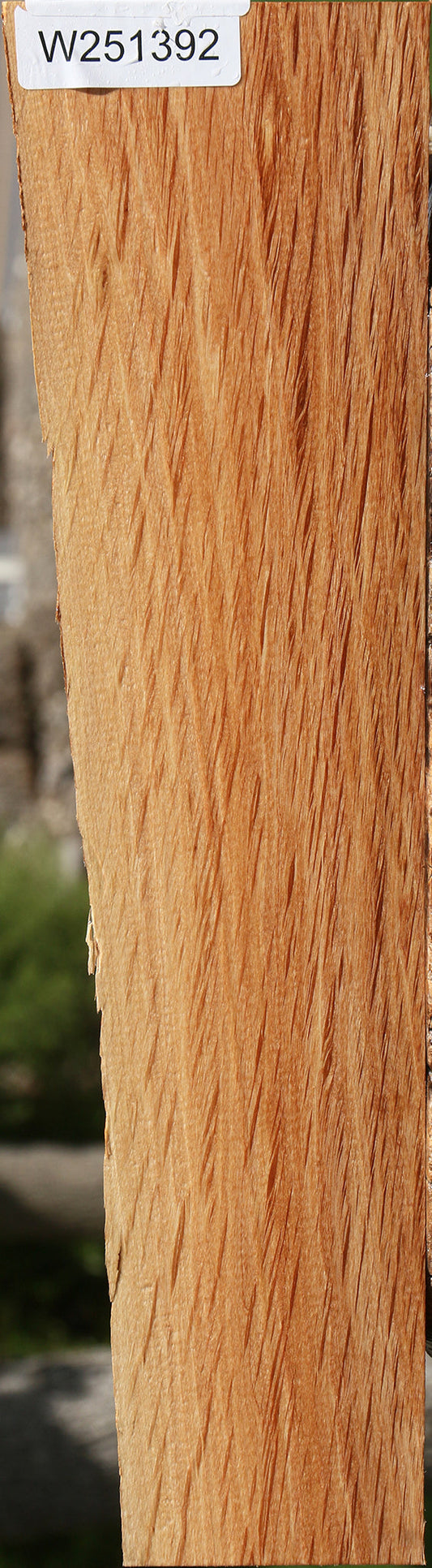 Beefwood Live Edge Lumber