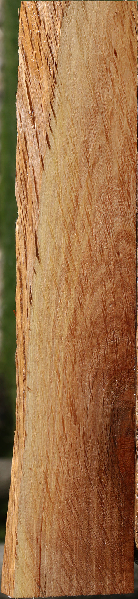 Beefwood Live Edge Lumber