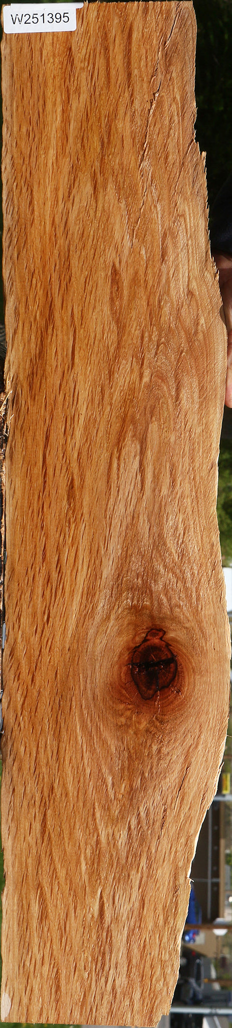 Figured Rustic Beefwood Live Edge Lumber