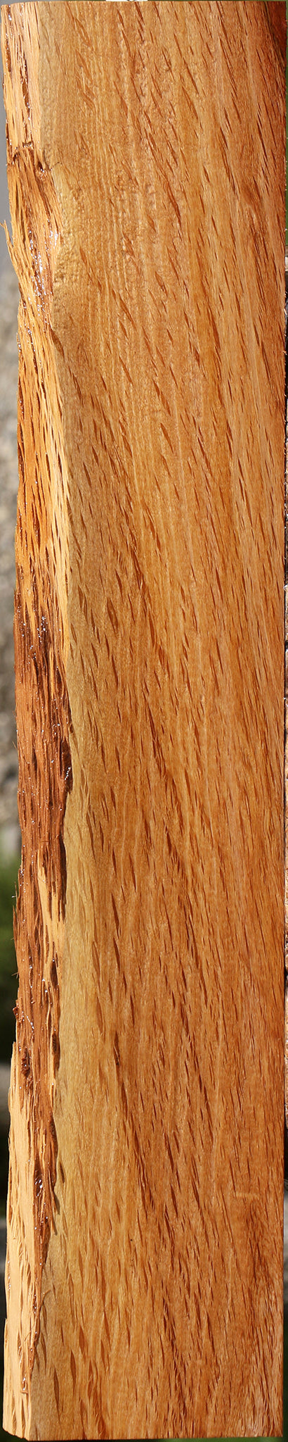 Beefwood Live Edge Lumber