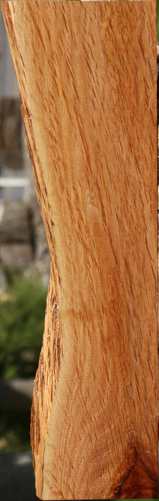 Beefwood Live Edge Lumber